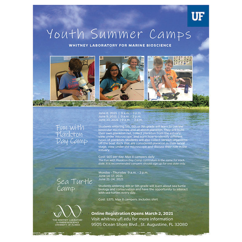 Whitney Summer Camp Flyer