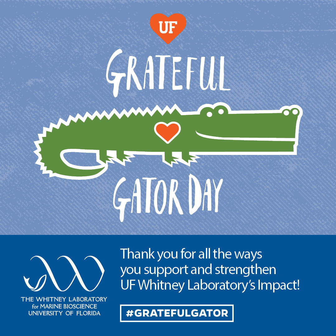 Grateful Gator Day!