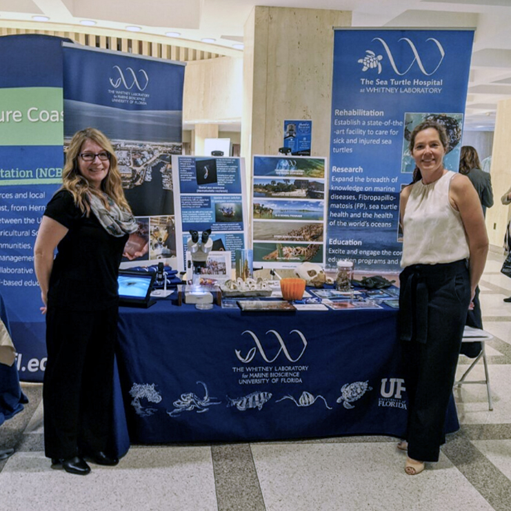 Whitney Laboratory Booth at Oceans Day