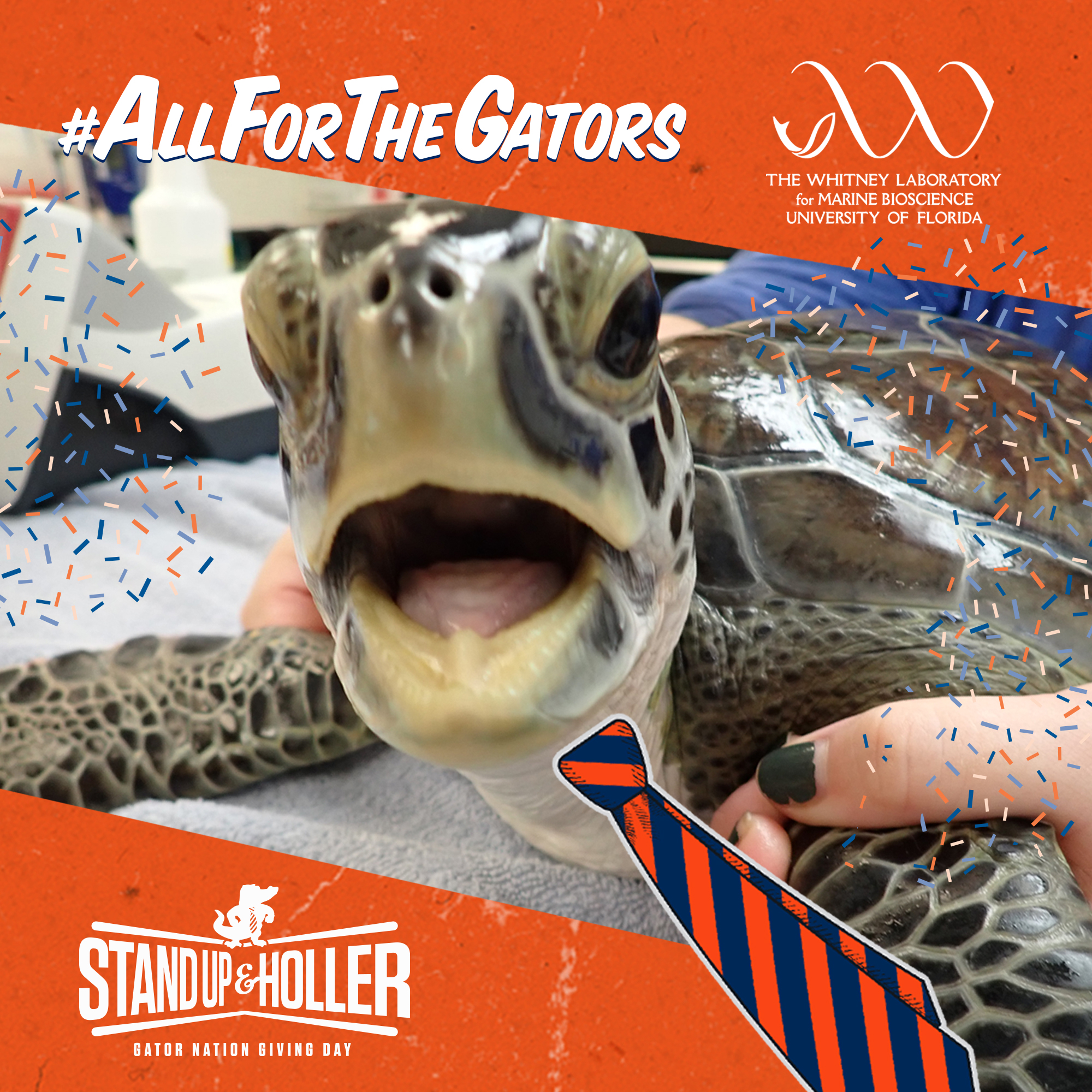 Stand Up & Holler, It's Gator Nation Giving Day!