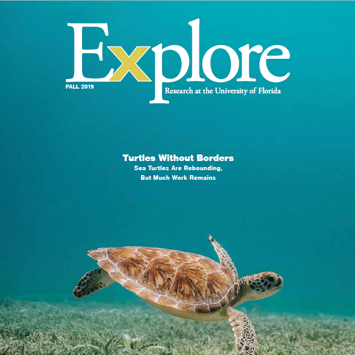 Sea Turtle Hospital Featured in Explore Magazine