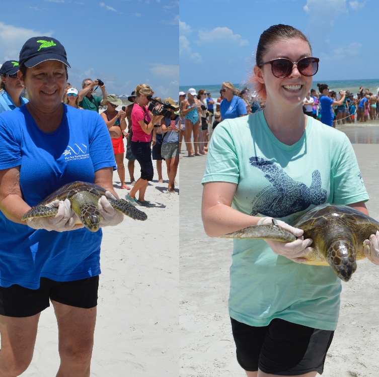 Sea Turtle Hospital volunteers holding two turtles