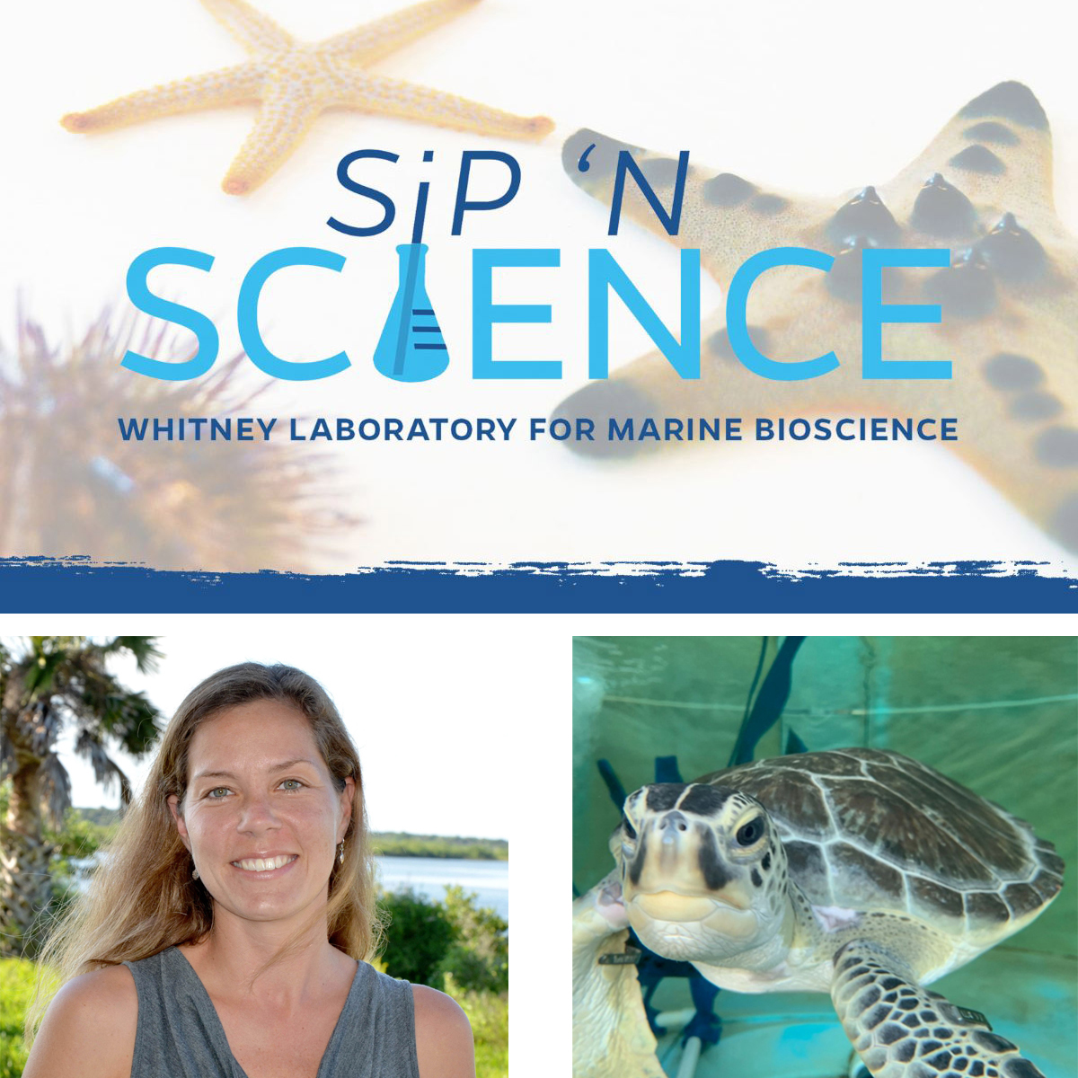 New Date Nov. 19 - Whitney Sip 'N Science Free Webinar -  Catherine Eastman | Sea Turtle Care Spotlight