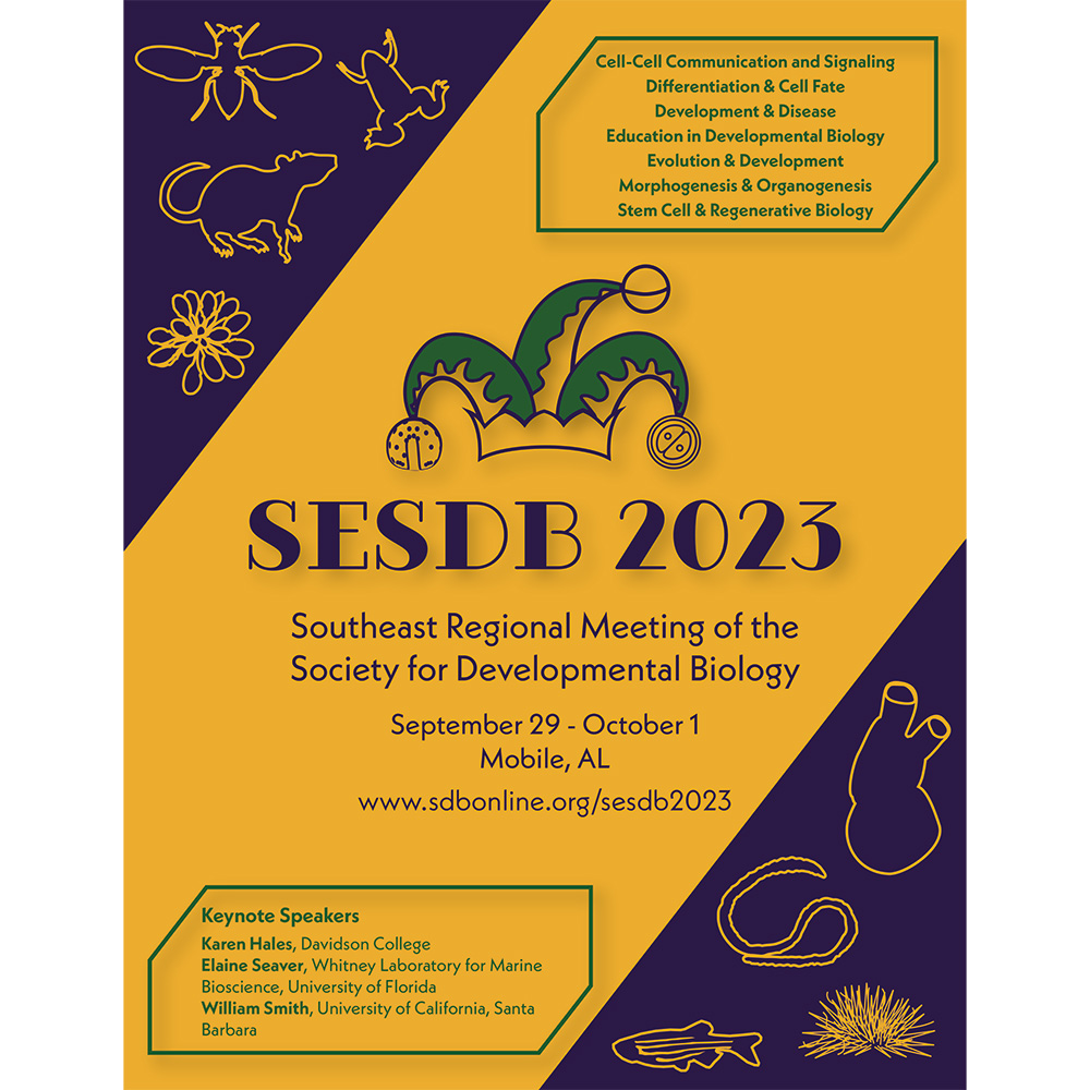 2023 SE SDB Flyer.