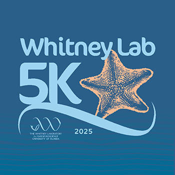 Join us for the Whitney Lab 5K on April 13!