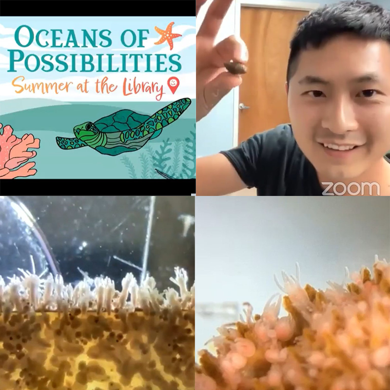 Dr. Jingwei Song talks snail fur at the Alachua County Library Ocean Tales program