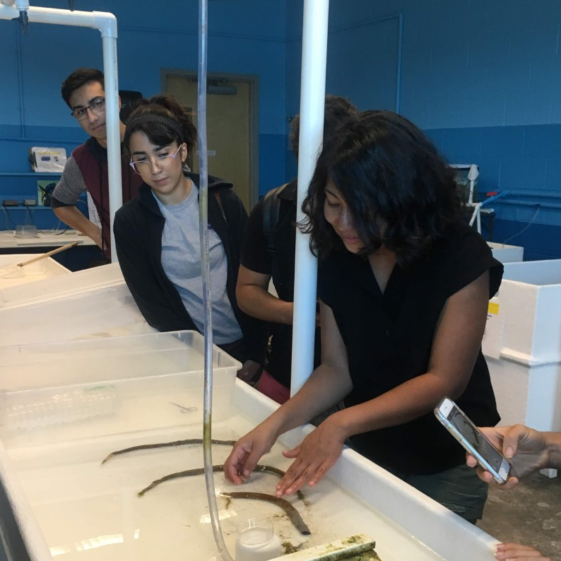 Graduate student showing UF students annelid