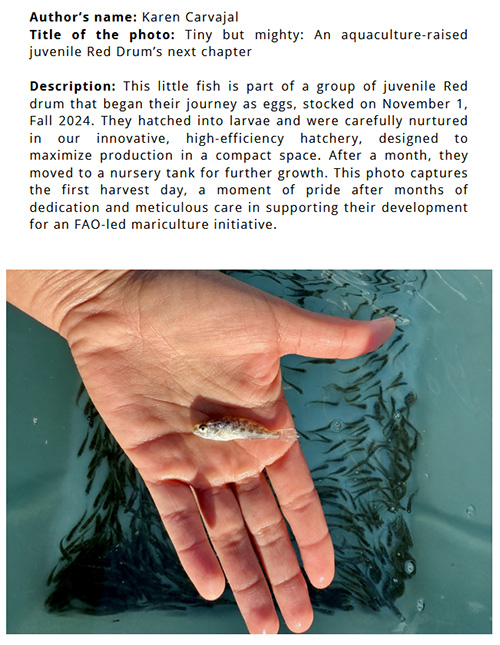 Hand with fish