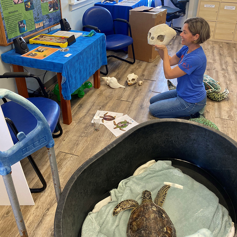 Sea Turtle Program Manager Catherine Eastman Presents for Scientist in Every Florida School Program