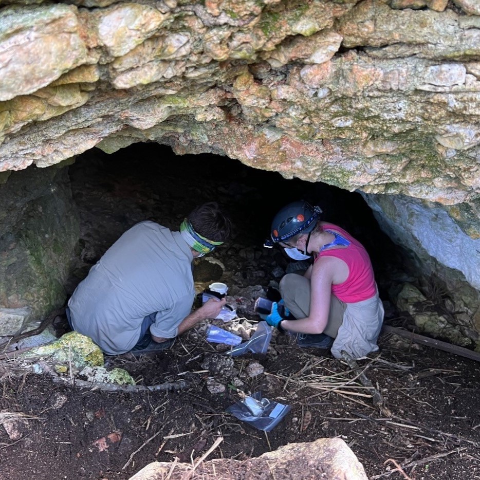 Students set out air sampling devices to try and capture DNA left behind by mammals using the cave at night.