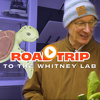 Cup o’ Joe: The Road Trip Episode - to Whitney Laboratory! 