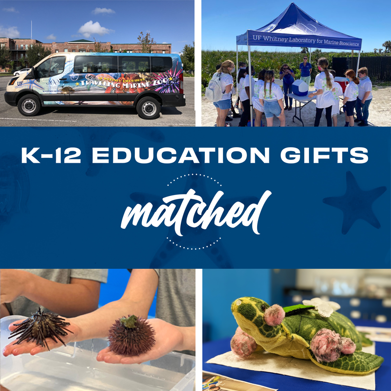 Collage of van, children under a tent, hands holding urchins and a stuff animal sea turtle with wording K-12 education gifts matched