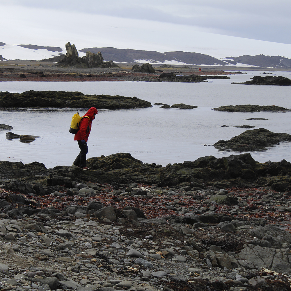 Scientist in Antarctica