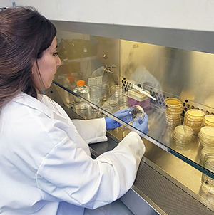 Scientist in lab holding agar plate sample