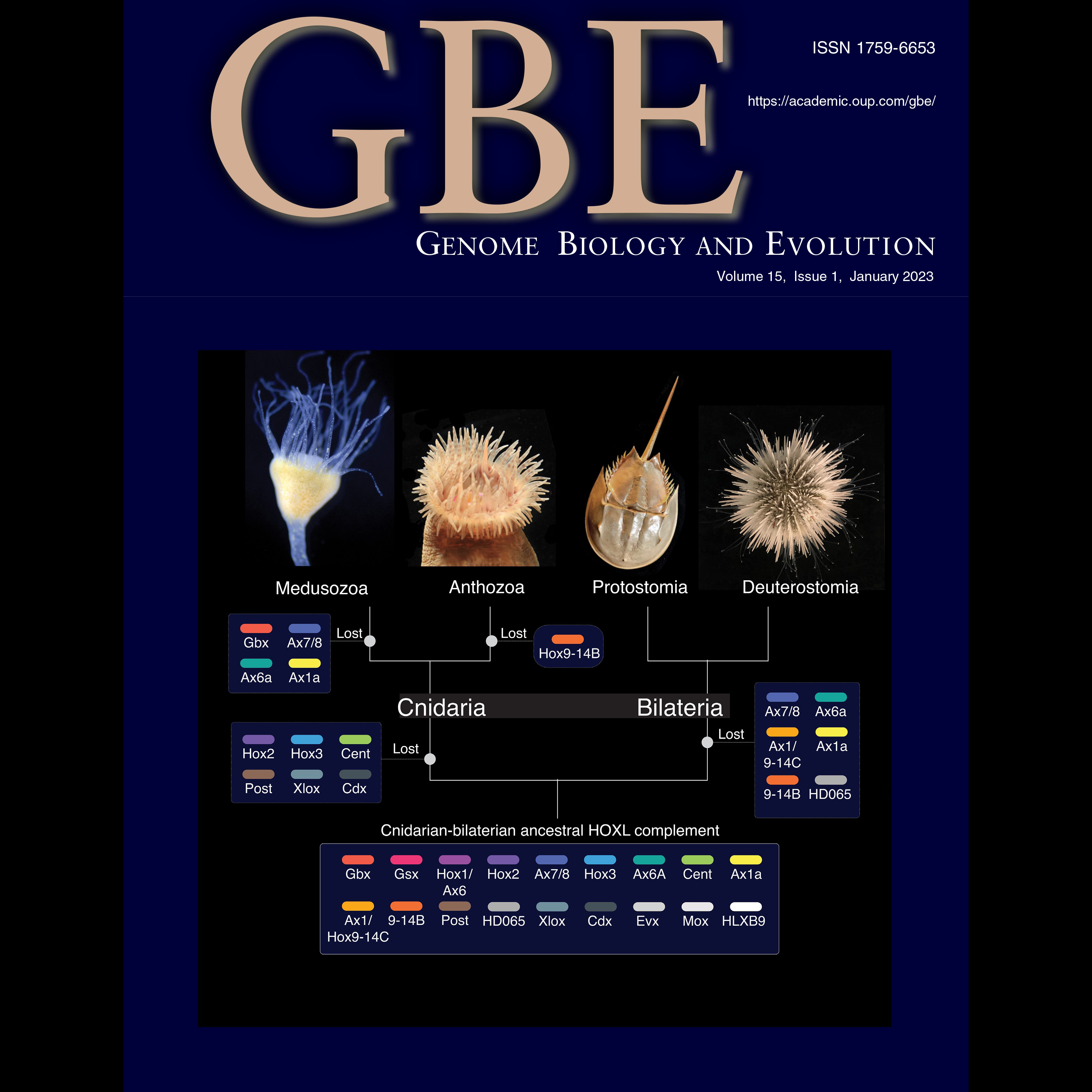 Graduate Student Bailey Steinworth Publishes Paper with Cover Image