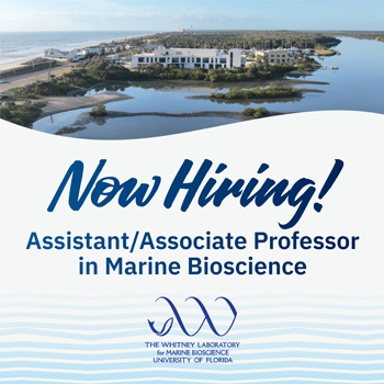 Now Hiring! Assistant/Associate Professor in Marine Bioscience