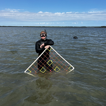 Person performing research in lagoon