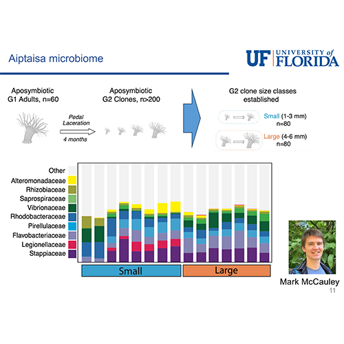 Loesgen Lab Publishes Paper in the Flagship Journal for the International Society for Microbial Ecology