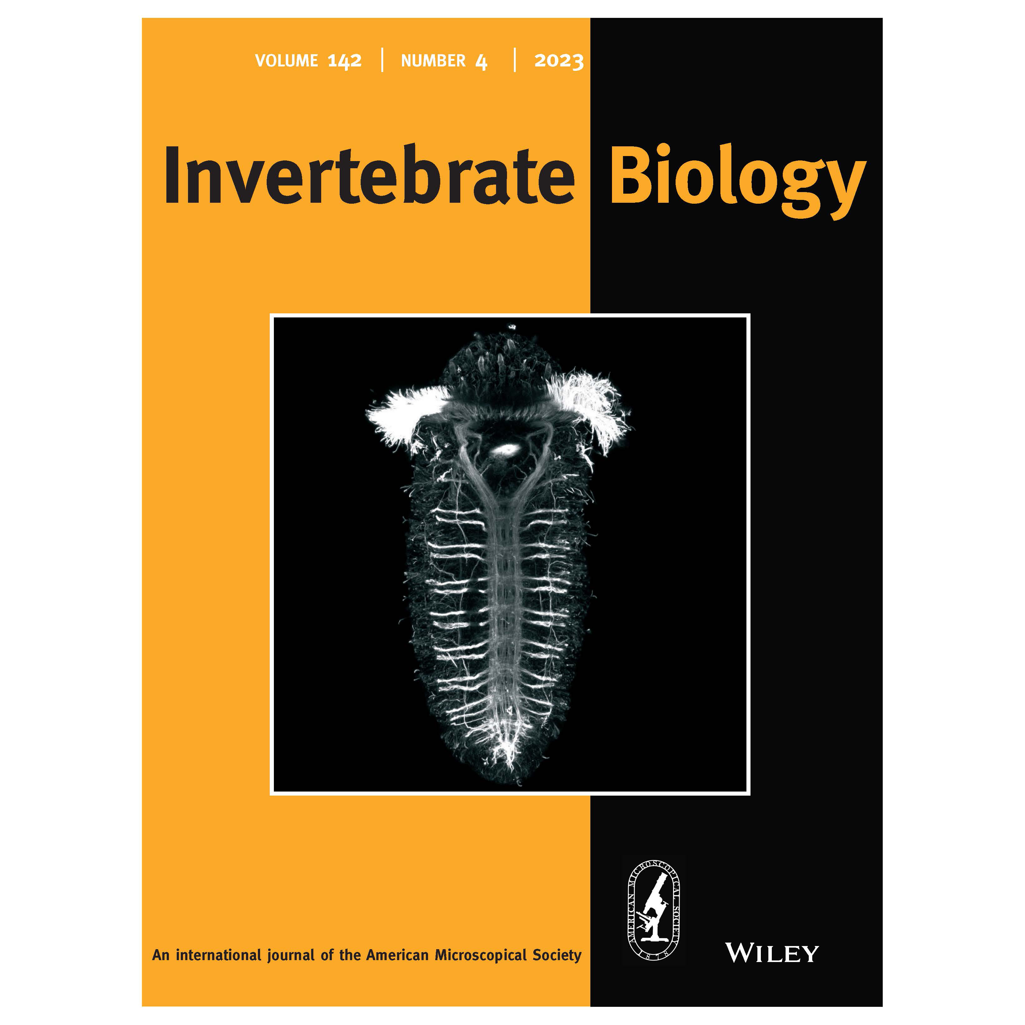 Fluorescent micrograph by Alicia Boyd selected for the cover of Invertebrate Biology (December 2023 issue)