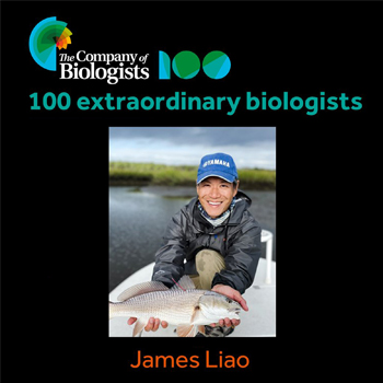 Whitney’s own Dr. James C. Liao selected as one of the 100 extraordinary biologists by the Company of Biologists