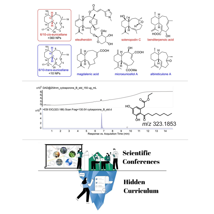 Recent Papers from the Loesgen Lab