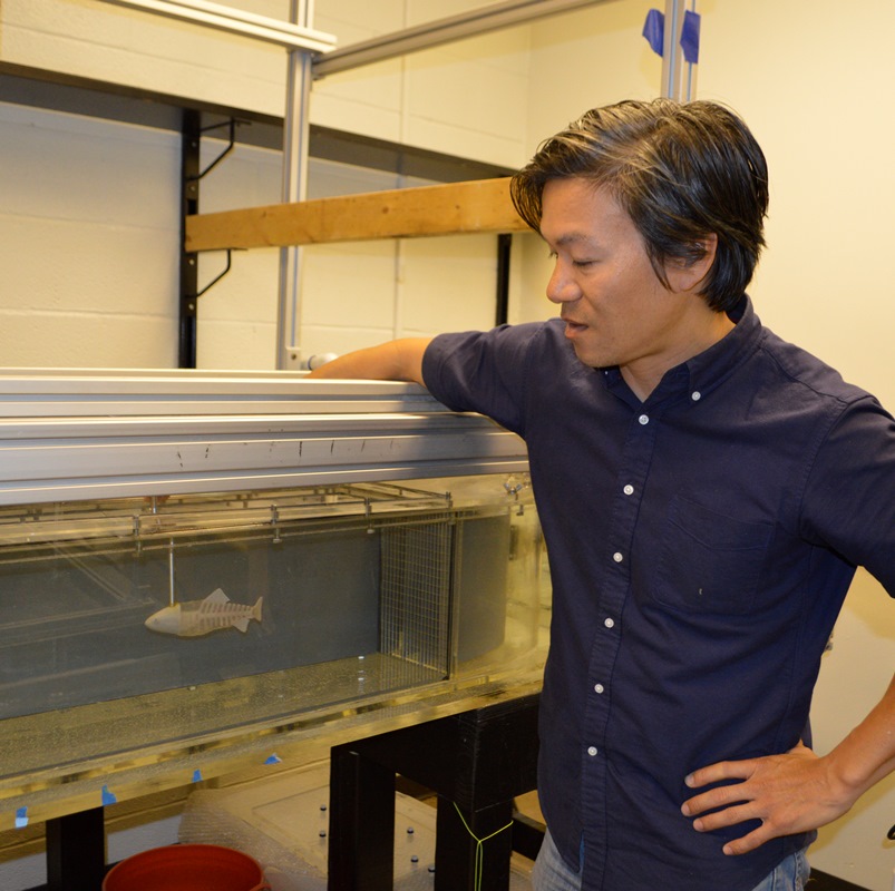 Liao Lab Research Published in PNAS and Featured in UF News Video