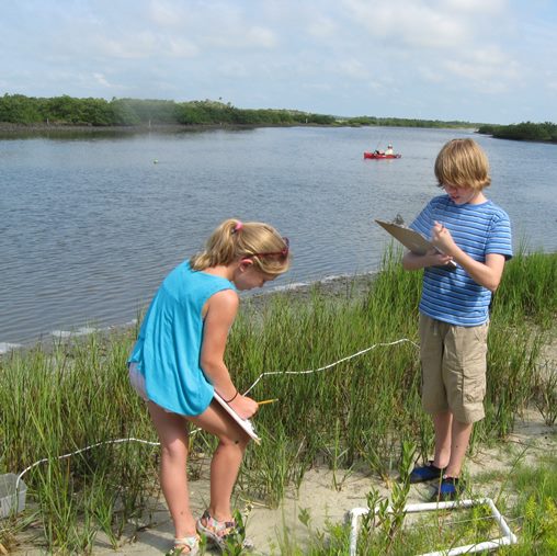 Join Us for Marine Biology Camp this Summer! 