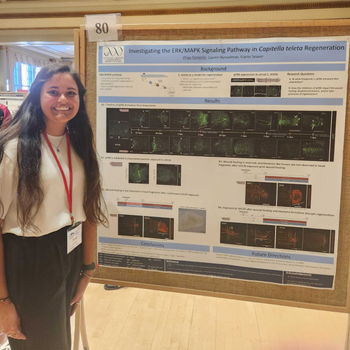 Townsend Scholar Studies Signaling Pathway During Regeneration