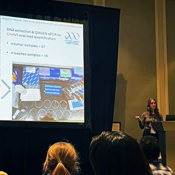 Speaker presenting to a group of people