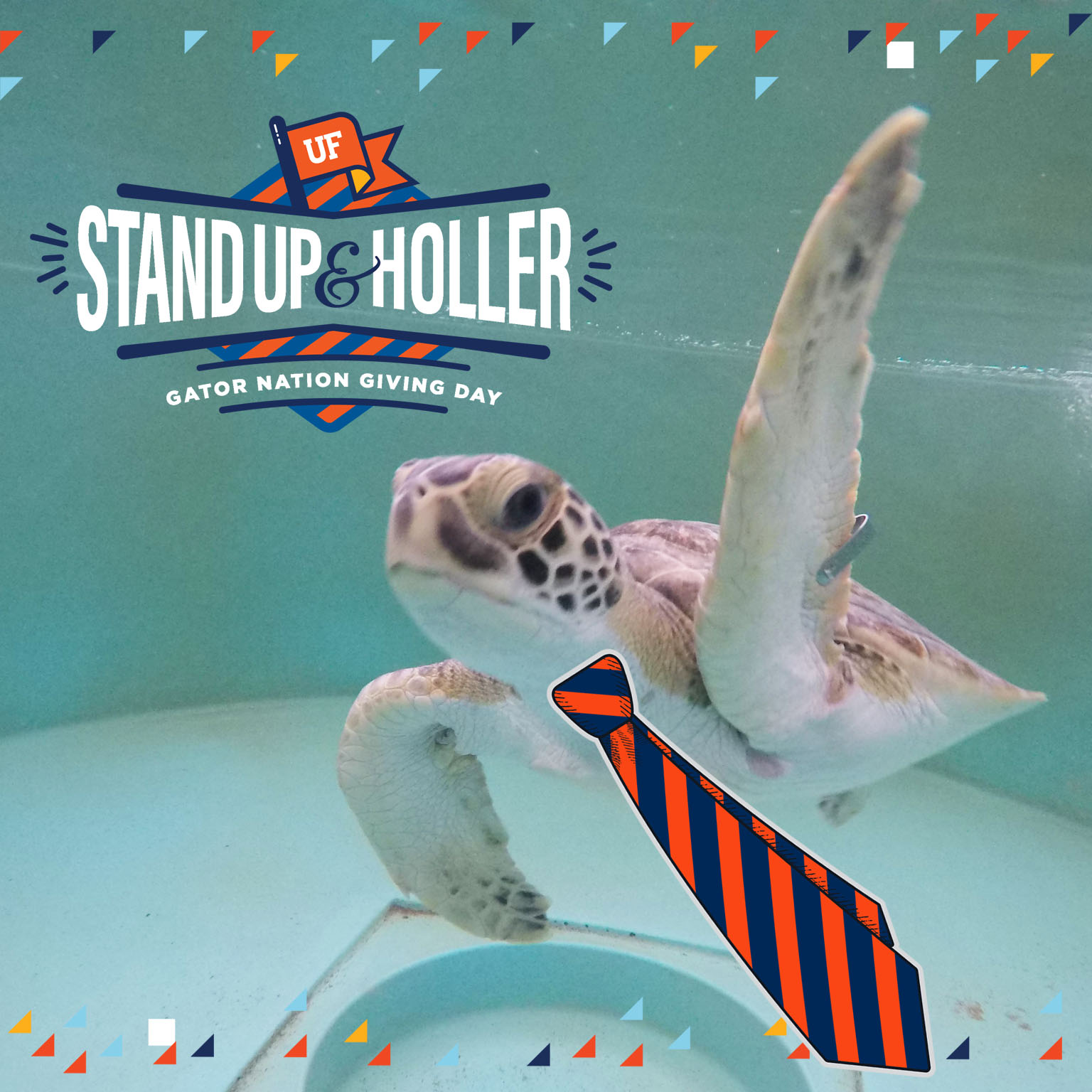 Stand Up & Holler, It’s Gator Nation Giving Day!

