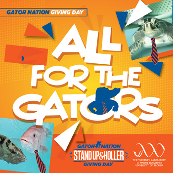 Stand Up & Holler, It's Gator Nation Giving Day!