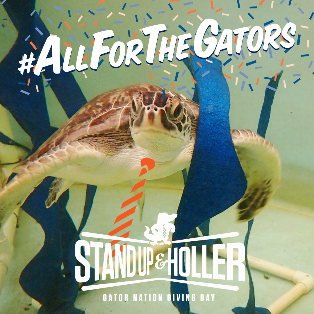Stand Up & Holler, It's Gator Nation Giving Day!