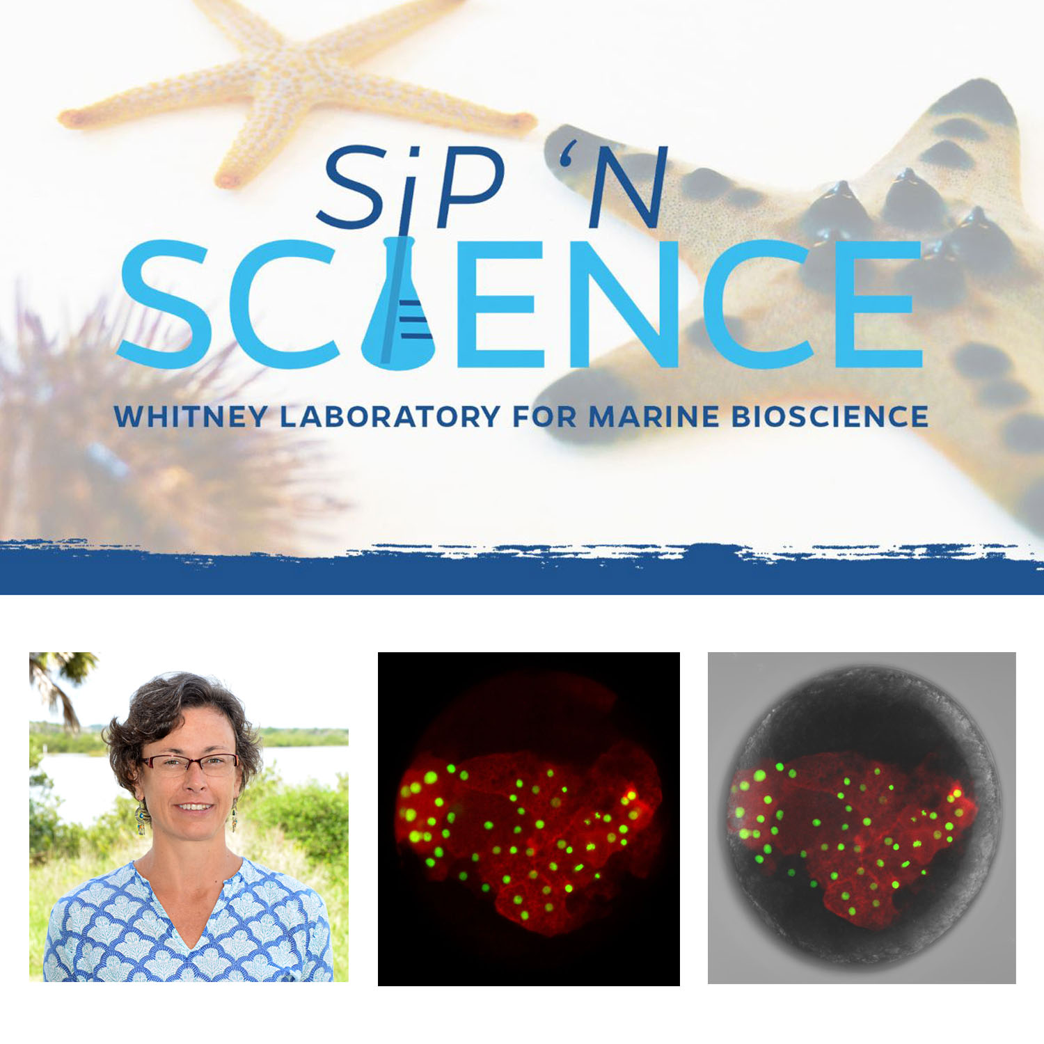 Whitney Sip 'N Science Free Webinar March 11 - Dr. Elaine Seaver, Tracking Cells Through Space and Time