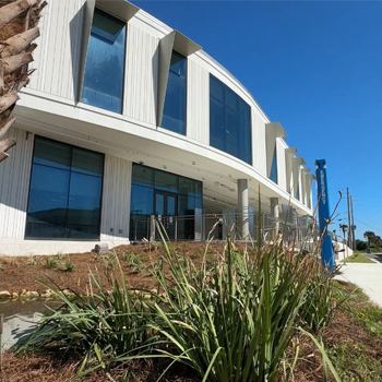 In the News: Whitney Laboratory and the Sea Turtle Hospital on Spectrum News 13