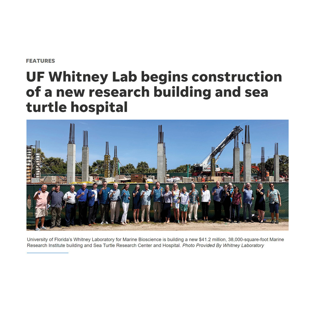 St. Augustine Record Article - UF Whitney Lab begins construction of a new research building and sea turtle hospital