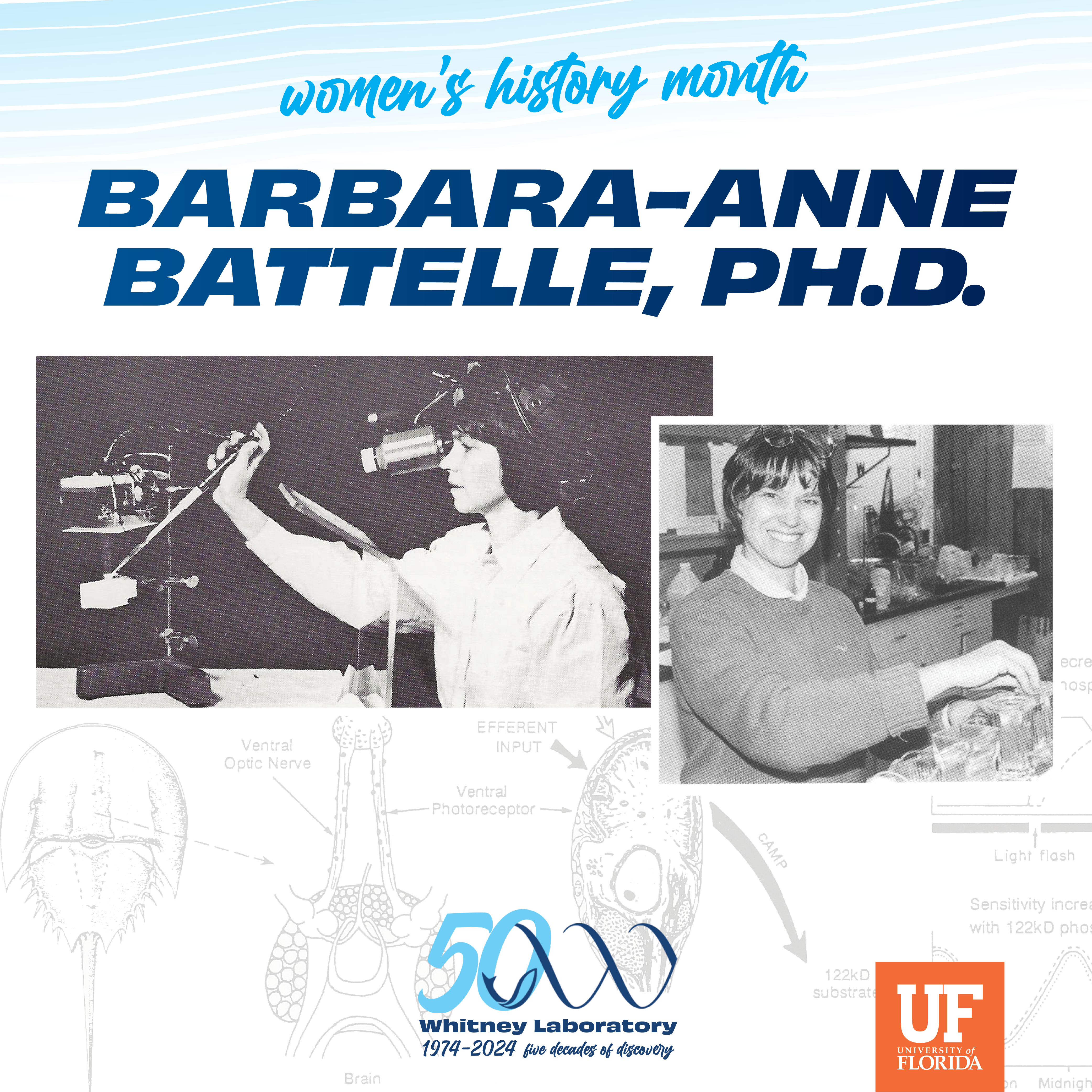 Women's History Month - Barbara-Anne Battelle, Ph.D.