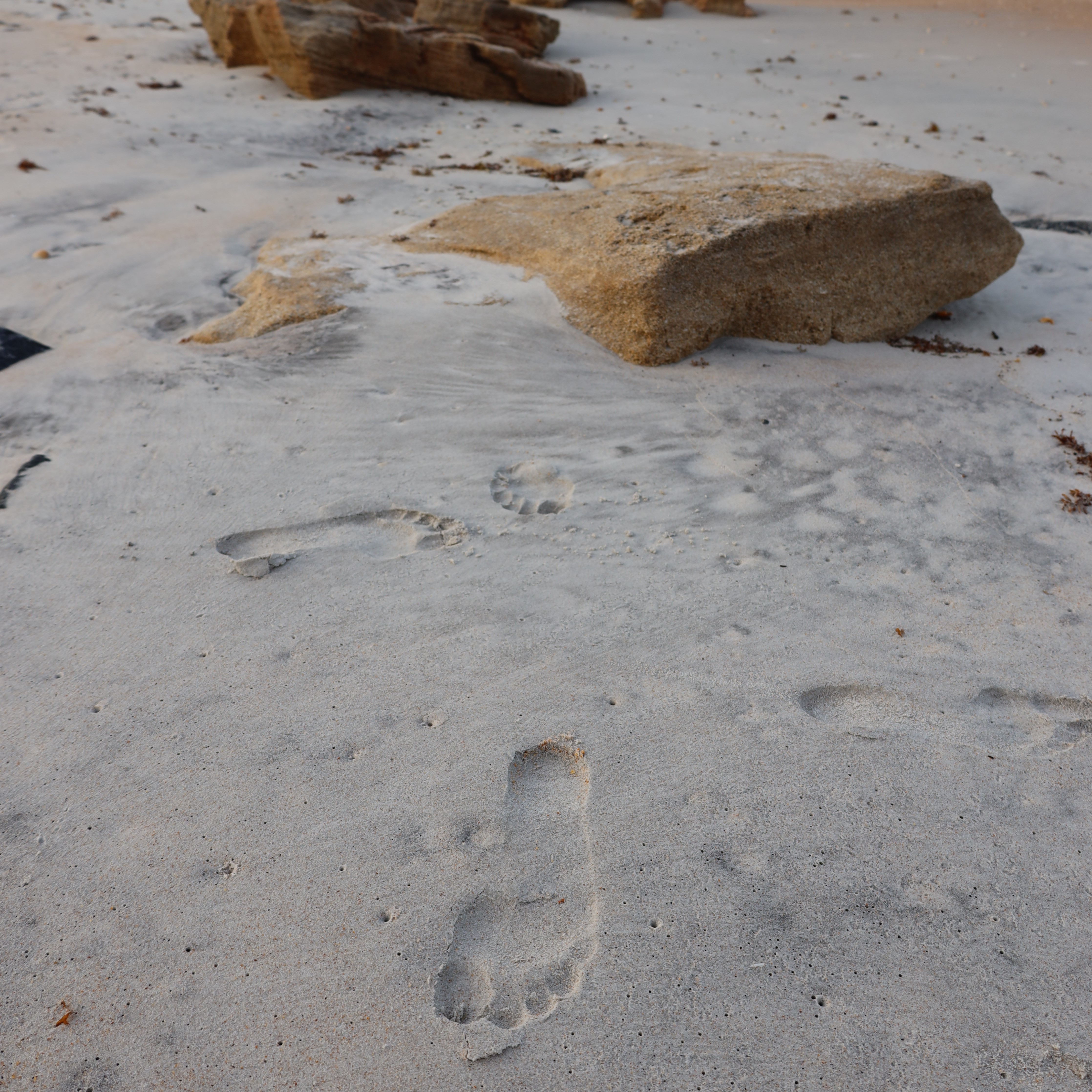 Beach rock and sand with footprints