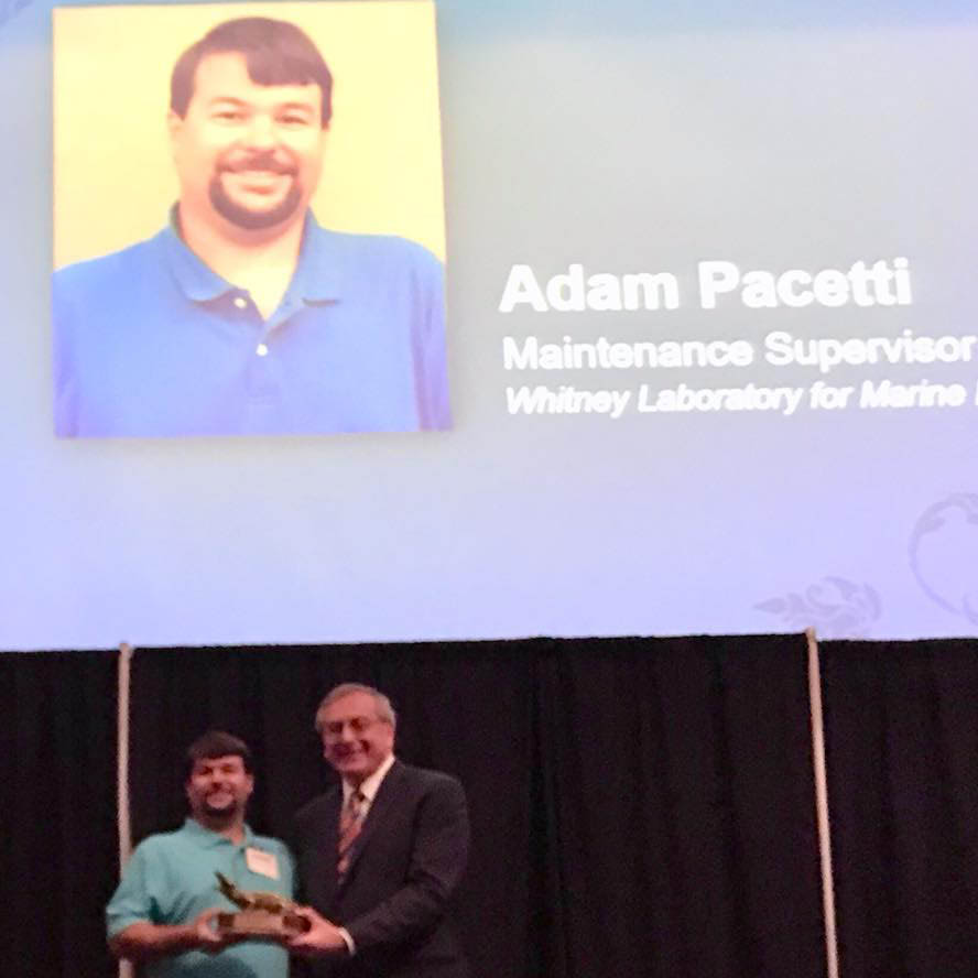 Whitney Lab's Adam Pacetti Awarded UF Superior Accomplishment Award