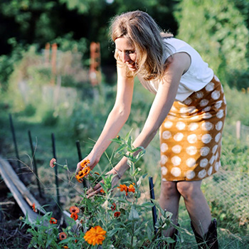 Evenings at Whitney YouTube Link - From the Wilderness to the Research Laboratory: My Quest to Uncover the Mysterious Healing Properties of Plants