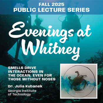 Evenings at Whitney November 13