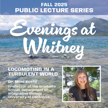 Evenings at Whitney December 11