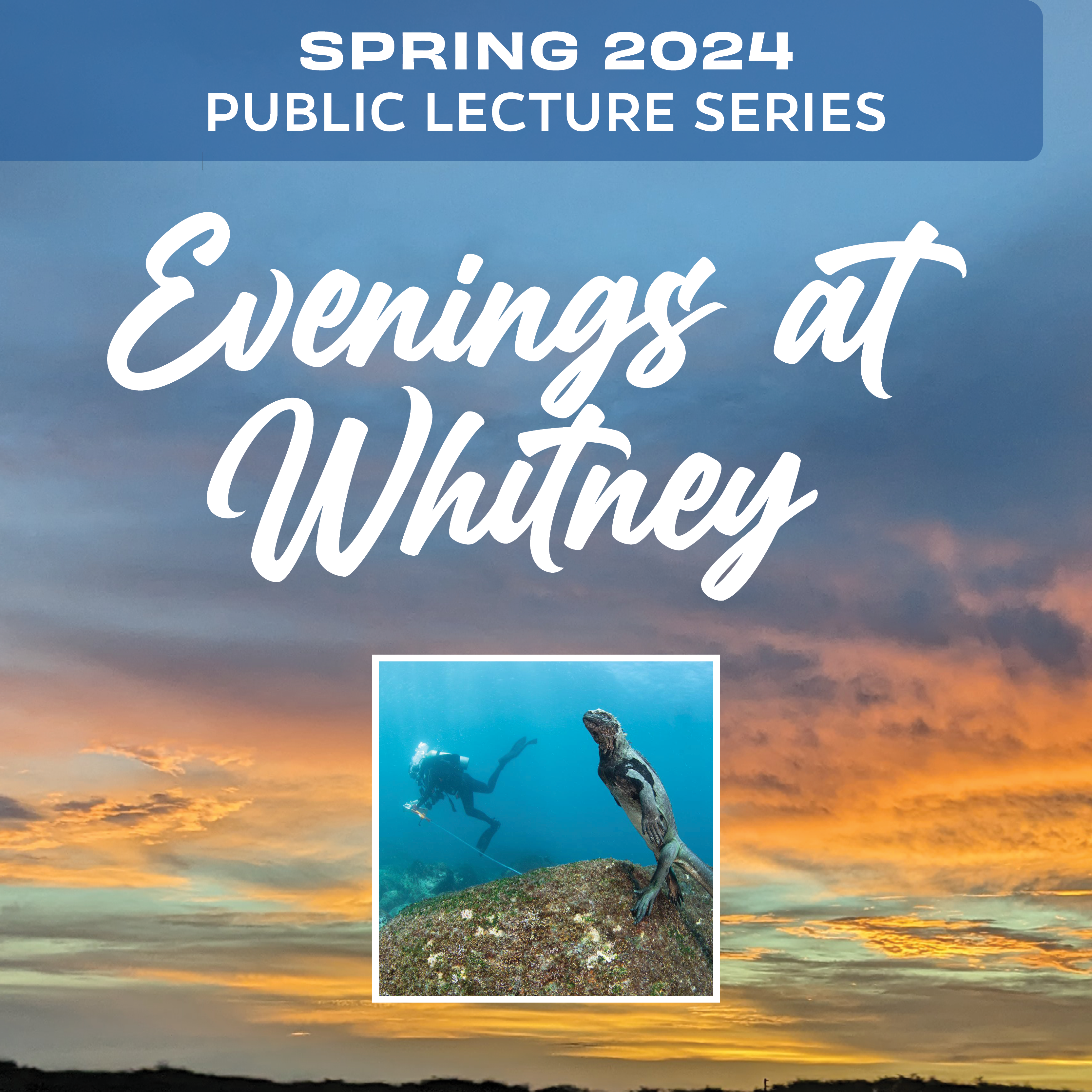 Evenings at Whitney March 14