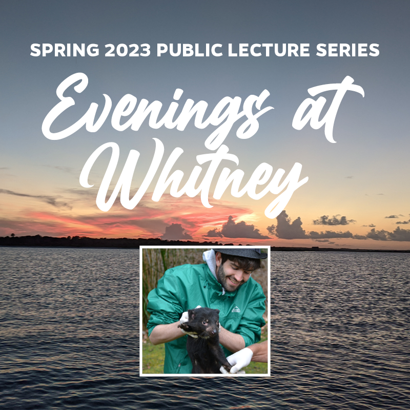 Evenings at Whitney May 11