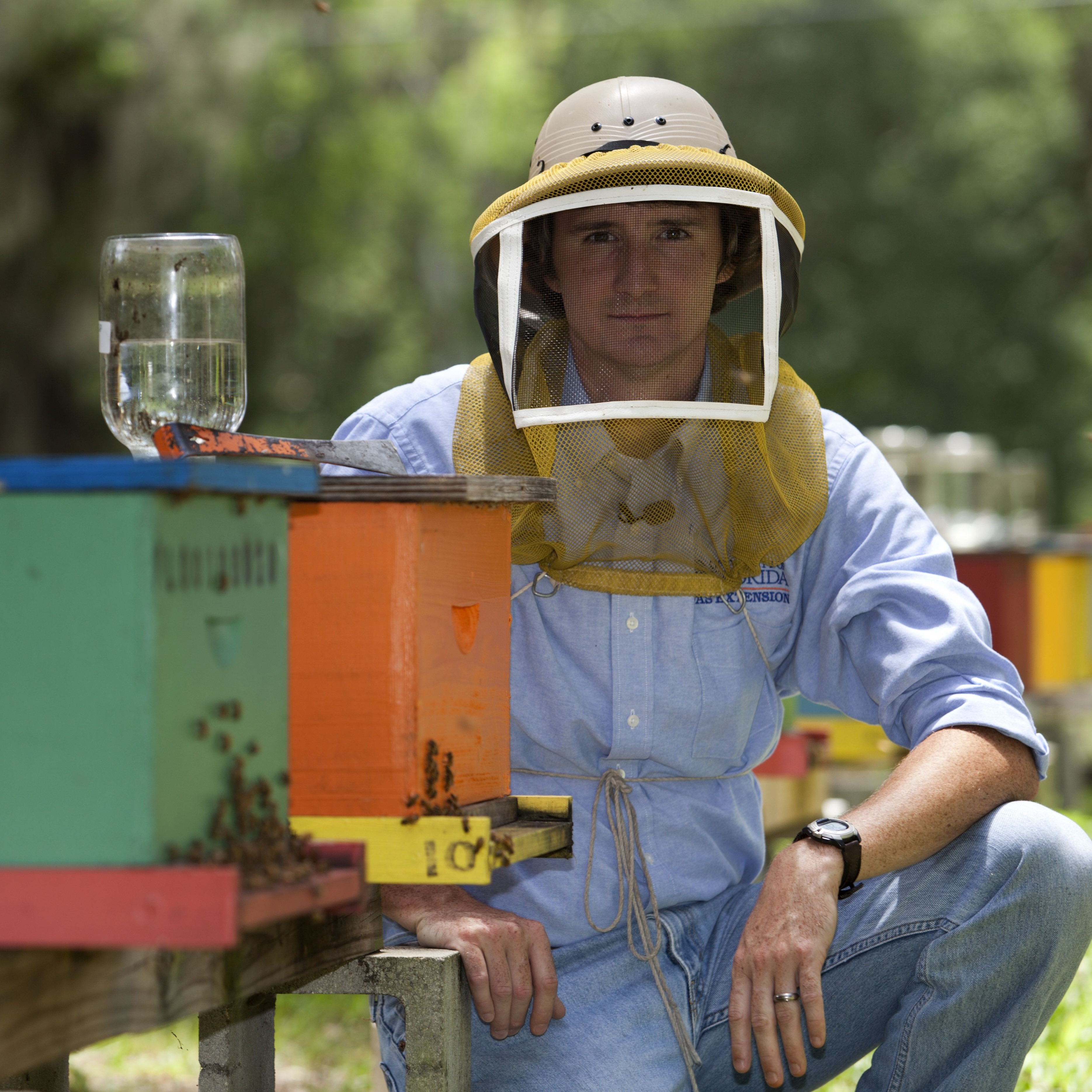 Dr. Jamie Ellis and Bee Hives