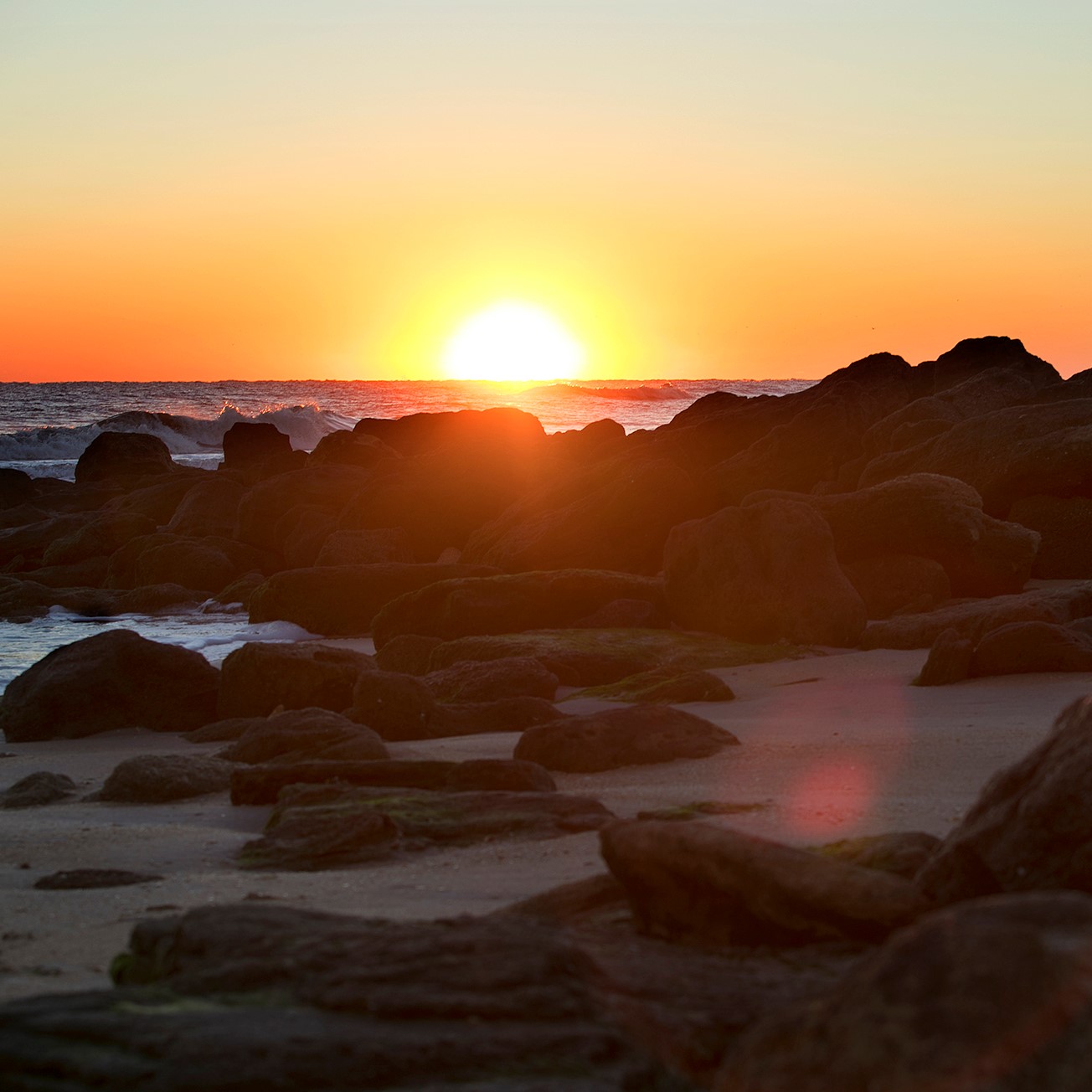 Evenings at Whitney YouTube Link Circadian clocks in muscle: time does matter