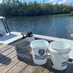 Indian River Lagoon fish release partners