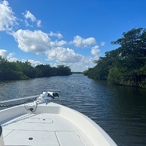 View of Indian River Lagoon from boat
