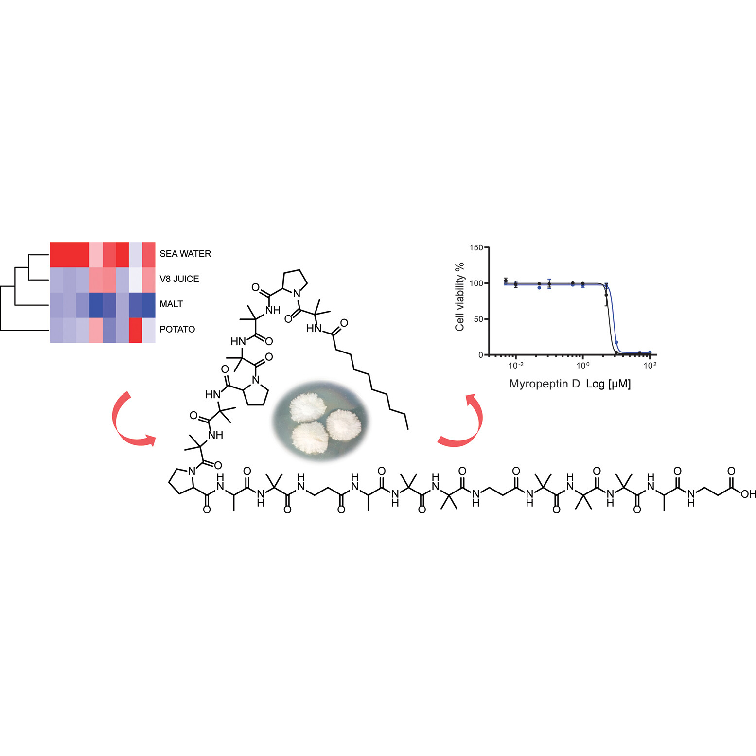 https://pubs.acs.org/doi/10.1021/acs.jnatprod.3c00148