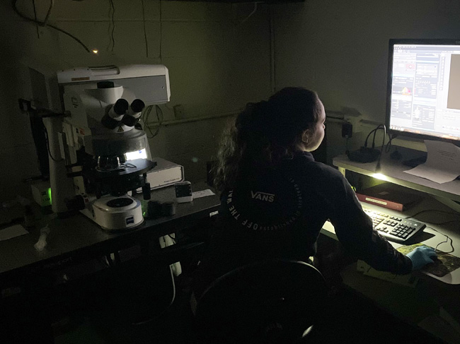 Person using confocal microscope
