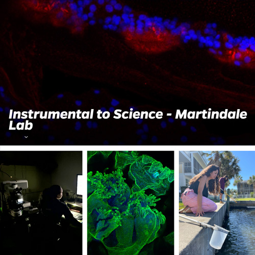 Instrumental to Science - Martindale Lab